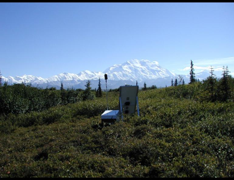 Denali National Park Ecologist Shan Burson has recorded the park's "soundscape" for the past few years. His recorder is set up here on a hill southeast of Wonder Lake. NPS photo, Shan Burson
