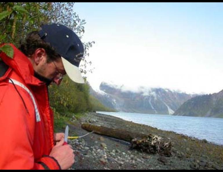  Chris Larsen, a post-doctoral researcher at the Geophysical Institute of the University of Alaska Fairbanks, repairs a coax cable for a GPS unit. A bear wandering the shore of Lituya Bay in Southeast Alaska had bitten through the cable. Larsen is measuring the area’s rapid uplift after the disappearance of glacial ice. Ned Rozell photo. 