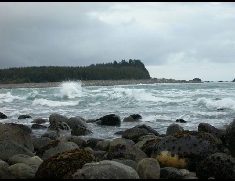 Photo: The tidal current rages at the narrow entrance to Lituya Bay in Southeast Alaska. Ned Rozell photo.