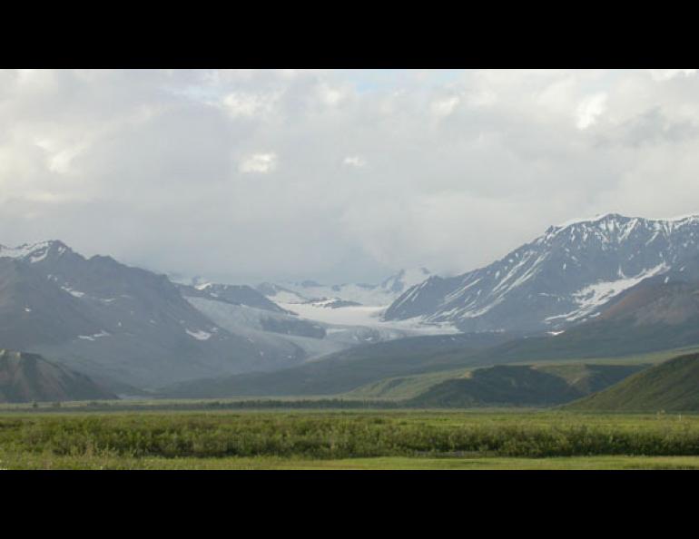  Gulkana Glacier in the Alaska Range received a record amount of snowfall last winter, while most of Alaska was dry. Drivers on the Richardson Highway can see Gulkana Glacier as they head north through Isabel Pass near the Richardson Monument pulloff. Ned Rozell photo. 