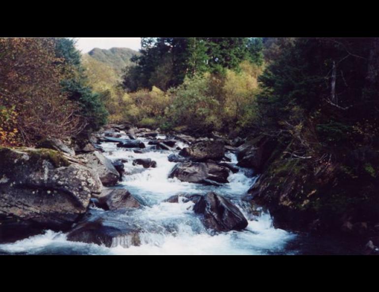 Gold Creek near Juneau, one of 25 Gold Creeks in Alaska. Photo by Sven Eric Franzen.