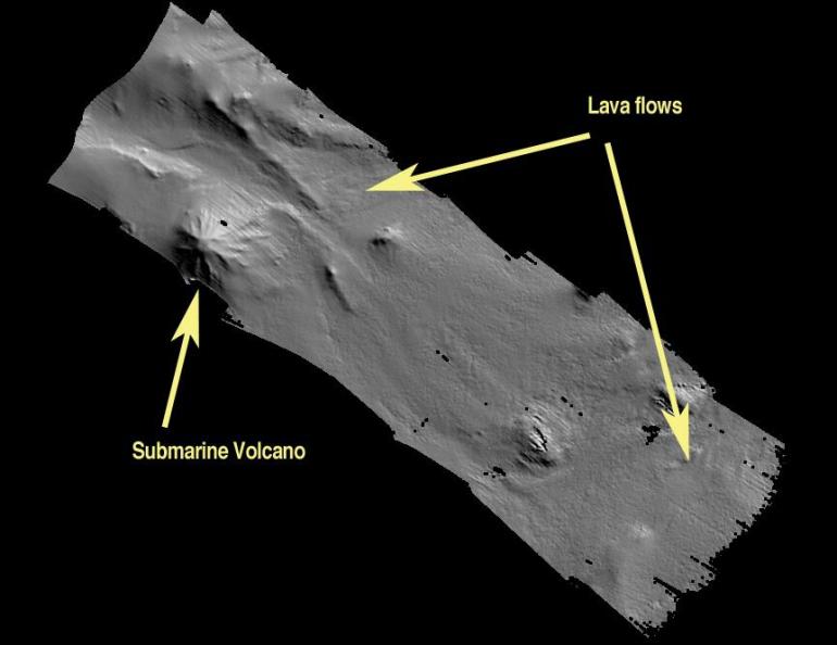 A map of the seafloor southeast of Semisopochnoi Island in the Aleutians, where researchers have discovered a volcano. The image was made with multibeam sonar soundings during a scientific cruise in summer 2003. Image courtesy of Jennifer Reynolds, UAF School of Fisheries and Ocean Sciences.