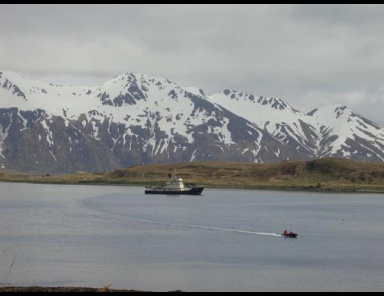 The Tiglax, a research ship for the Alaska Maritime National Wildlife Refuge, anchored off Attu island, the westernmost place in Alaska. Photo by Ned Rozell.