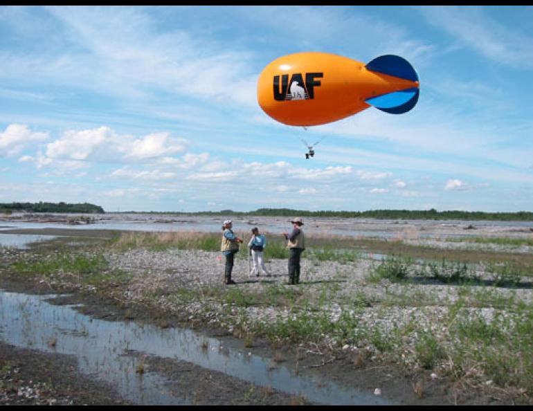 From left, UAF Agricultural Research Technician Beth Hall, graduate student Risa Ikeya, and assistant professor Norm Harris use a tethered blimp to measure the extent of a white sweet clover invasion on the Matanuska River. Trish Wurtz photo