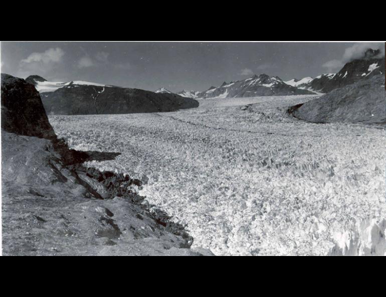 Muir and Riggs Glacier in Glacier Bay National Park, as photographed in 1941. William Field, U.S. Geological Survey photo.