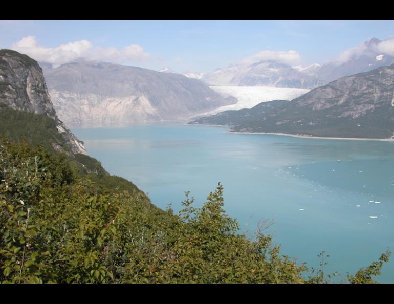 Riggs Glacier (and the lack of Muir Glacier) in Glacier Bay National Park, as photographed in 2004. Photo by Bruce Molnia.