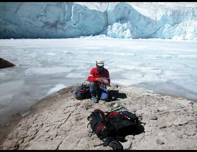 A member of an Ohio State University glacier research team gathers samples of a moss from the genus Breutelia recently uncovered as the Quelccaya ice field in the Peruvian Andes retreated. Carbon-dating provided an age for the plants of at least 50,000 years. Photo courtesy of Lonnie Thompson.