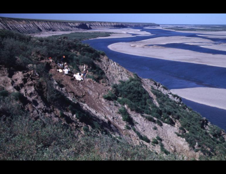  Scientists work at the Kikak-Tegoseak dinosaur bone quarry on Alaska’s North Slope in 2002. This site has yielded a large amount of horned dinosaur bones and bones from other dinosaurs, such as hadrosaurs and theropods. Tony Fiorillo photo. 