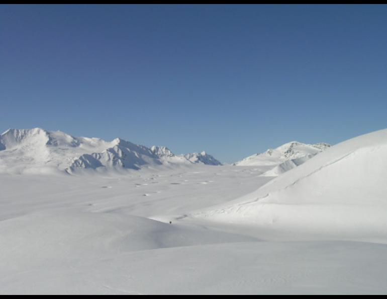 Black Rapids Glacier in the central Alaska Range. Photo by Martin Truffer.