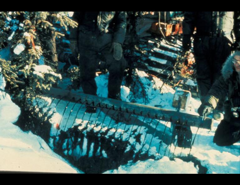  Scientists with the Cold Regions Research and Engineering Laboratory spill about 2,000 gallons of hot crude oil on the forest floor north of Fairbanks on Feb. 26, 1976. Terry McFadden photo. 