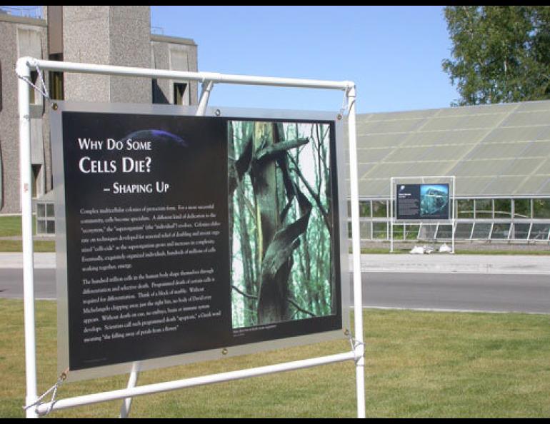  The exhibit “Walk through Time . . . From Stardust to Us” will be displayed again on the UAF campus in September 2005. Ned Rozell photo. 