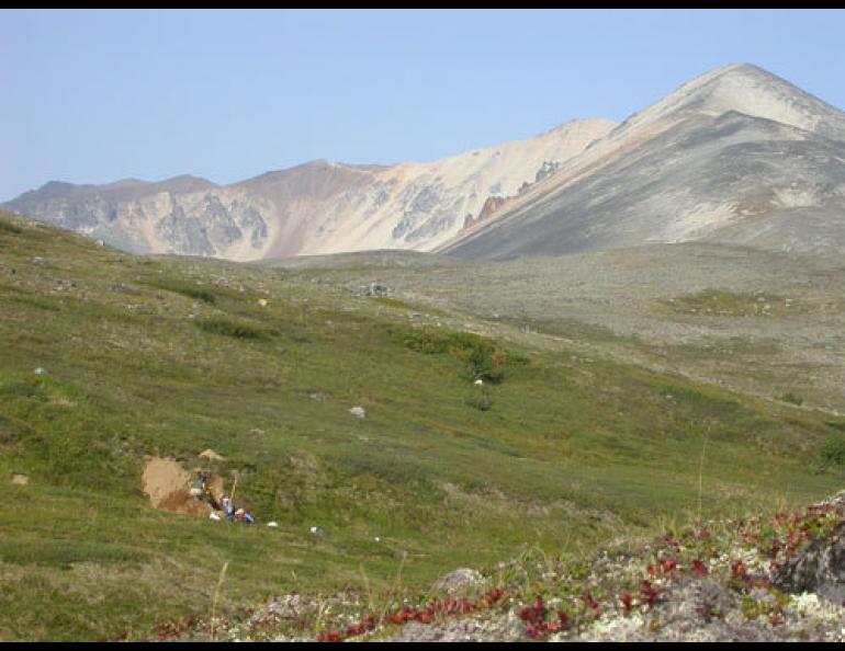 Geologists Patty Burns, Tony Crone and Steve Personius work on a trench in the Alaska Range, looking for clues to when large ancient earthquakes occurred on the Denali fault. Ned Rozell photo.