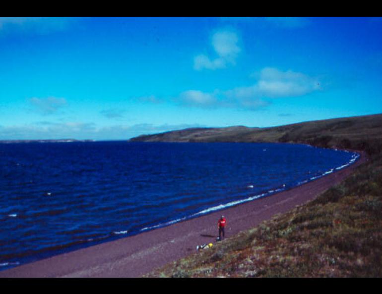  Tim Tannenbaum stands on the shore of Devil Mountain Lakes maar, a volcanic crater on the northern Seward Peninsula and the largest of its type in the world. Jim Beget photo. 