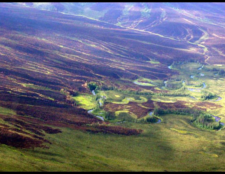  The Boundary Fire of 2004 swept through the Wickersham Creek watershed in the White Mountains National Recreation Area north of Fairbanks. Photo by Dale Haggstrom, Alaska Department of Fish and Game. 