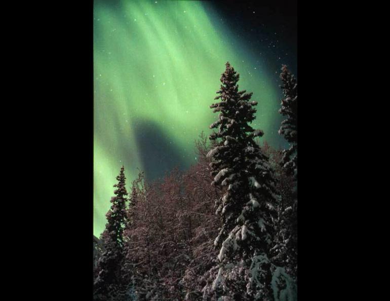  The Geophysical Institute, located in Fairbanks, Alaska, is situated in a perfect locale for better understanding the aurora. The northern lights can be seen from almost anywhere in the vicinity of Fairbanks and along this latitude throughout the polar regions from September through March. 
