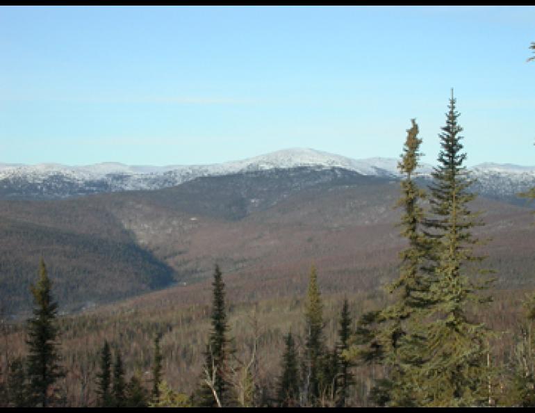 Higher elevations in Alaska are often warmer in winter due to temperature inversions. photo by Ned Rozell.