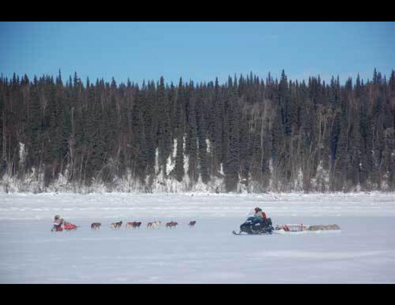 Tohru Saito passes a headwind-ducking Iditarod musher while on a permafrost-observatory drilling trip from Manley to St. Marys. Photo by Kenji Yoshikawa.