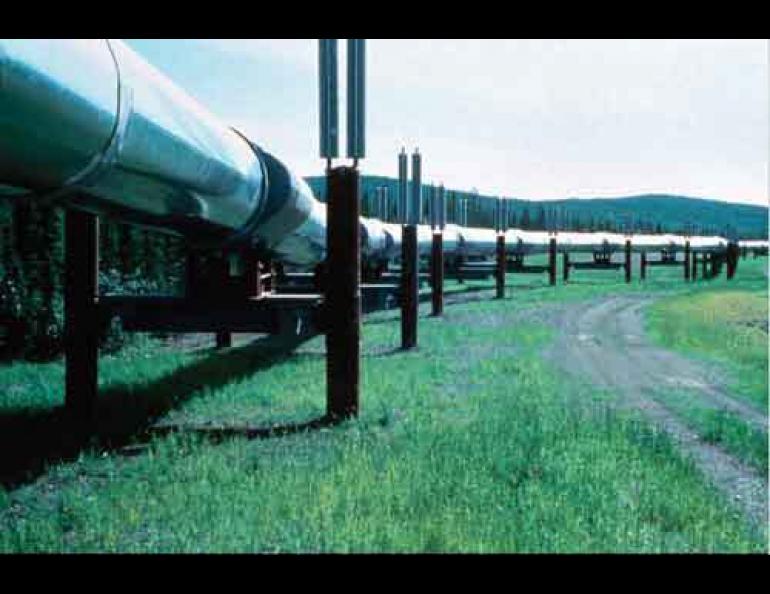 The trans-Alaska oil pipeline, as seen during summer. Photo courtesy Alaska Division of Community and Business Development. 
