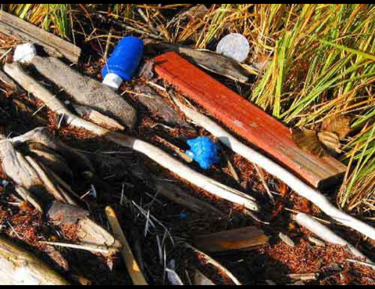  Some of the 140 floating toys found by the Orbisons of Sitka. The toys were part of a spill of 28,800 toys lost by a container ship during a North Pacific storm in January 1992. Photo courtesy Dean Orbison. 