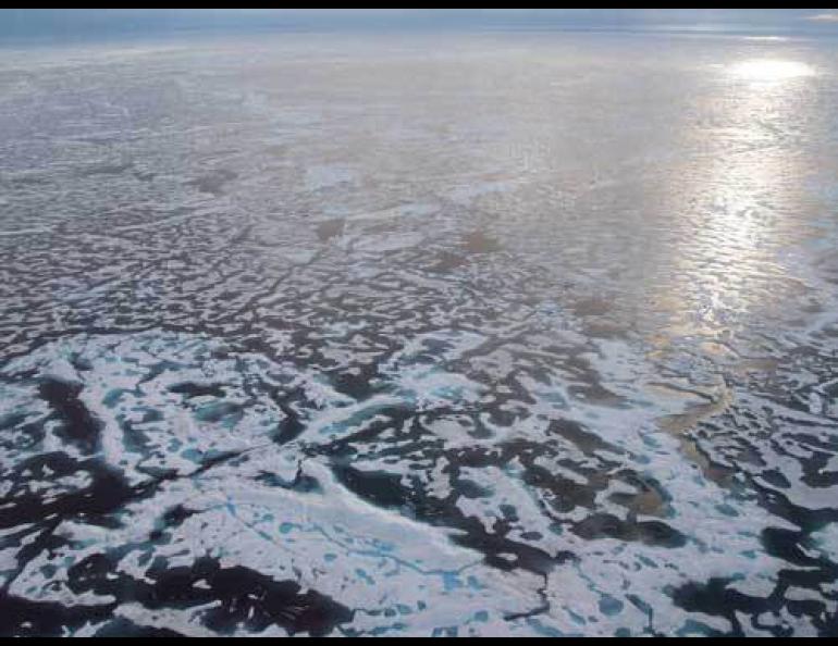 This photo of sea ice north of Alaska was taken in summer 2007. Photo by Jenny Hutchings.