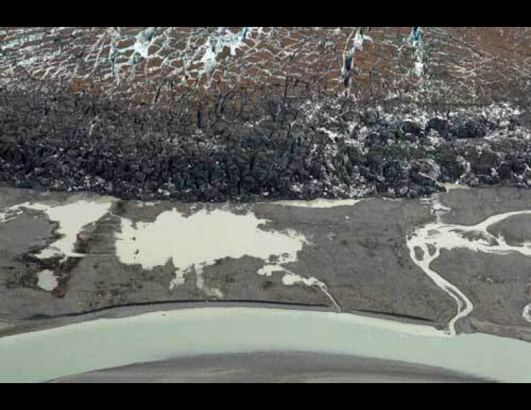 The face of Tweedsmuir Glacier, which is surging toward the Alsek River. Photo by Chris Larsen.