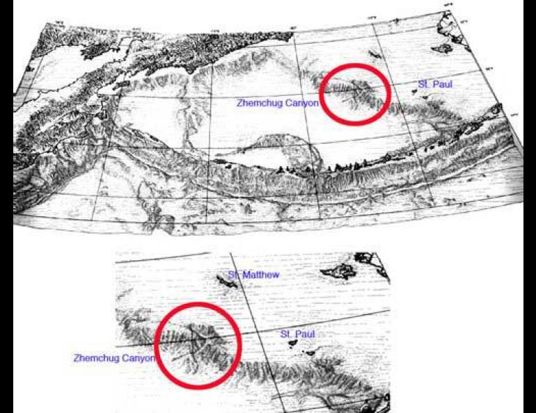 A map of the sea floor off western Alaska showing Zhemchug Canyon, one of the largest canyons in the world. The map comes from a 1970 paper in Marine Geology by D. Scholl, E. Buffington, D. Hopkins and T. Alpha.