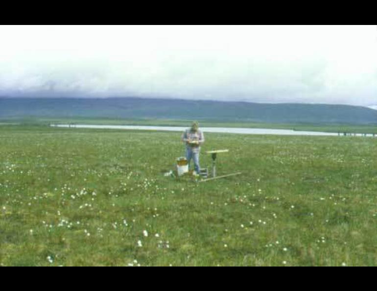 Tom Osterkamp at a permafrost-monitoring site near Healy in 1985. Photo by Joan Osterkamp.