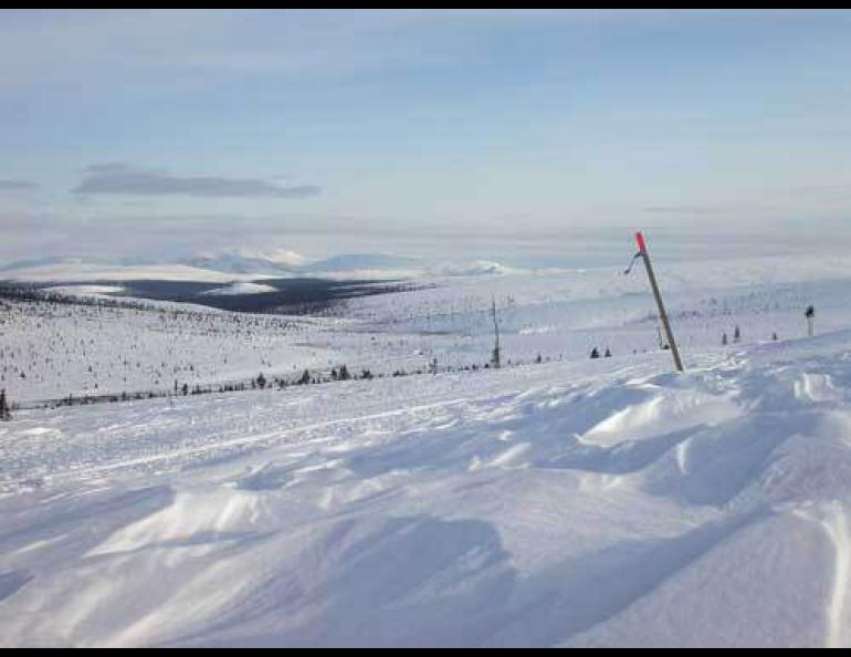 The Iditarod trail between the Seward Peninsula villages of Elim and Golovin. Kenji Yoshikawa is traveling along part of the trail to visit schools and install permafrost boreholes. Photo by Ned Rozell.