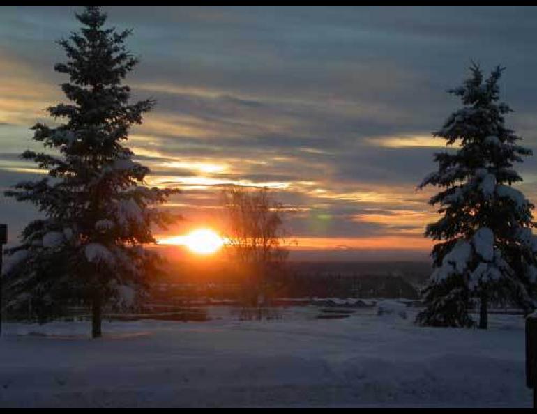 Alaska’s low sun angle most of the year—here at the extreme in Fairbanks on winter solstice—means our skin doesn’t have much chance to convert sunlight to vitamin D3. Photo by Ned Rozell.