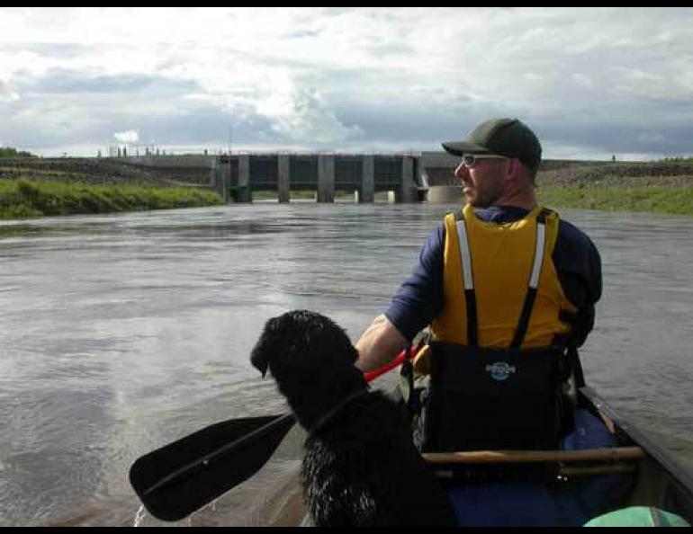  The flood-gate channels on the Chena River, as seen from a canoe in summer 2005. Photo by Ned Rozell. 