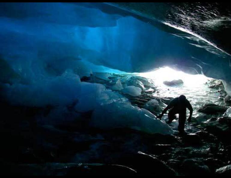  Todd Tumolo looks for ice worms in a cave beneath an unnamed glacier in the Little Switzerland area of the Alaska Range. Photo by Roman Dial. 