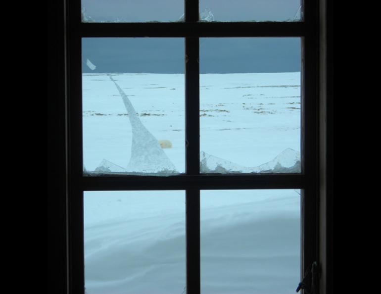 The broken window of the Kinnvika research station at Svalbard. A polar bear, body partially visible in the background, broke the window. Photo by Bob McNabb.