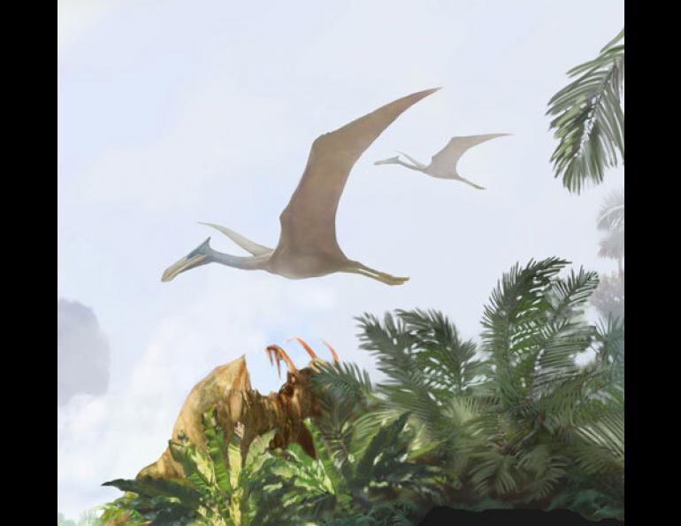  A pterosaur, like the one that left a track in Denali National Park, glides through the air about 70 million years ago. This image is cropped from a larger illustration by Karen Carr. You can see more of Carr’s work at http://www.karencarr.com. 