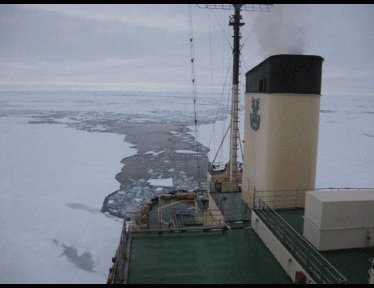 The Russian icebreaker Kapitan Dranitsyn cuts a path through the Arctic Ocean in late August 2009. Photo by IARC graduate student Rebecca Legatt.