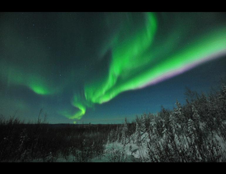  Poul Jensen of Fairbanks took this photo near Old Murphy Dome Road on an exceptional aurora night from Oct. 29-30, 2009 