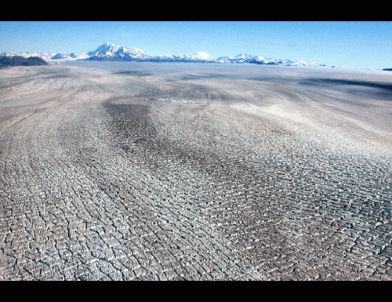 The cracked-up back of surging Bering Glacier, taken in early fall 2009 about 10 glacier miles upstream from where it ends at Vitus Lake. 