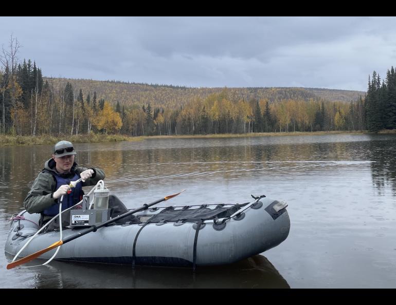 Biologist Erik Schoen gathers a water sample from a slough of the Chena River about 45 miles east of Fairbanks in September 2025. His team members will check the sample for possible DNA evidence of northern pike in the water. Photo by Ned Rozell.