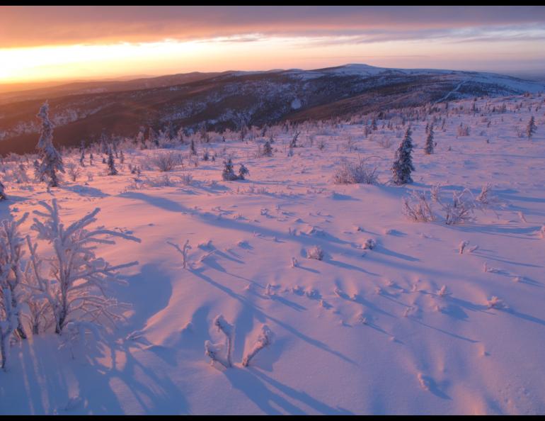 December sun creates the longest shadows of the year in the hills above Fairbanks. Photo by Ned Rozell.