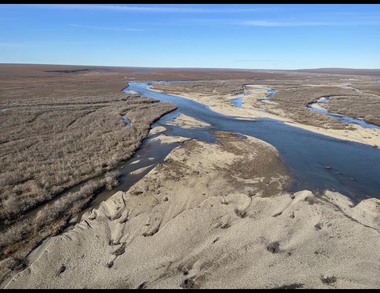 The Itkillik River spills out beneath a helicopter that biologists employed for surveys of the river for the presence of salmon in September 2023. The finger of water at the bottom left is a spot where the biologists found spawning chum salmon. Photo courtesy Peter Westley.