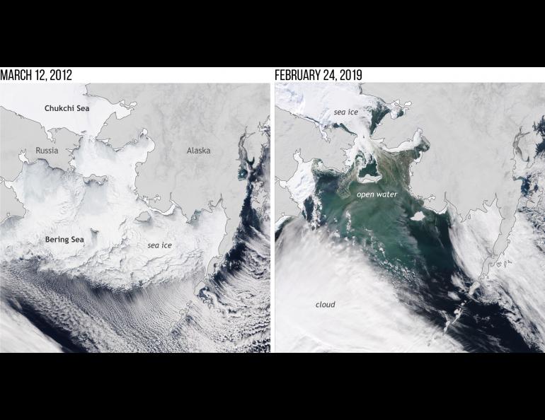 This NOAA satellite image of the Bering Sea in March 2012 shows extensive sea ice coverage, which was not the case near the maximum ice time this February. Image courtesy of NOAA.