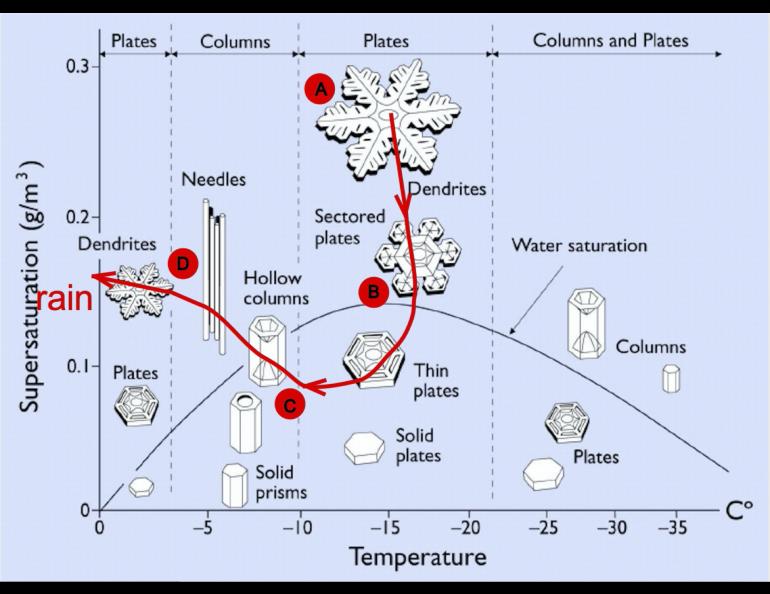 A Nakaya diagram showing the different shapes of snow crystals formed under different cloud conditions. A through D correspond to the crystal types Matthew Sturm photographed in a Dec. 26, 2021 storm in Fairbanks. Courtesy of Matthew Sturm.