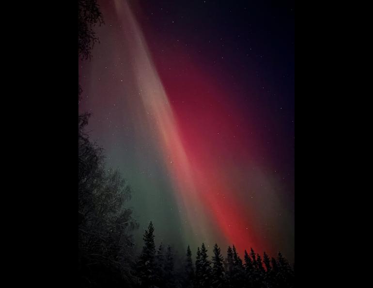 Red aurora fills the sky above Yankovich Road on the evening of Nov. 11, 2025. Photo by Nora Carlson.
