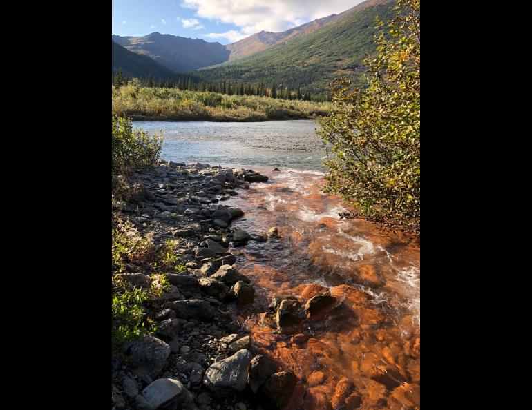 A tributary of the Akillik River in Kobuk Valley National Park in August 2018 after it had turned rusty orange. Photo by Jon O’Donnell.