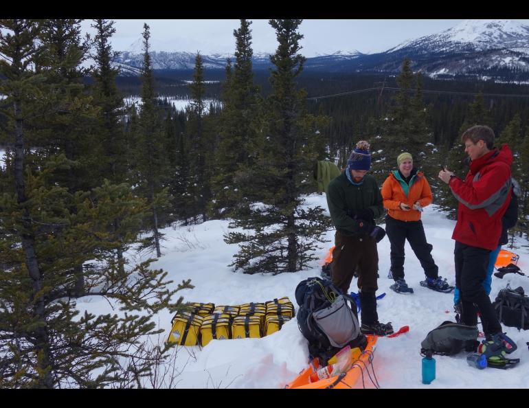 From left, Cole Richards, Lynn Kaluzienski and Carl Tape prepare to stick seismometers in frozen ground during a February 2019 mission to deploy instruments along the Denali seismic fault. Photo by Ned Rozell.