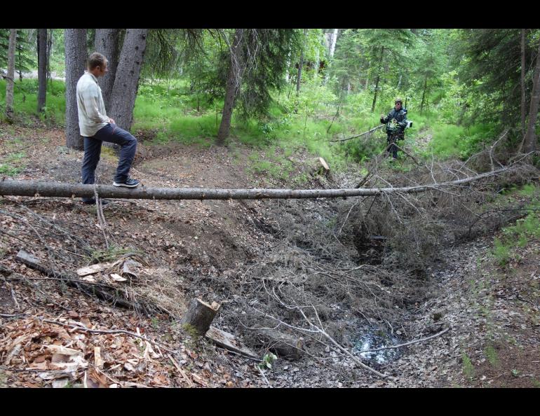 Jason Clark, at left, a postdoctoral researcher at UAF, and Nicholas Hasson, a UAF graduate student, examine a sinkhole known as a thermokarst in a Fairbanks homeowner’s backyard. Photo by Ned Rozell.