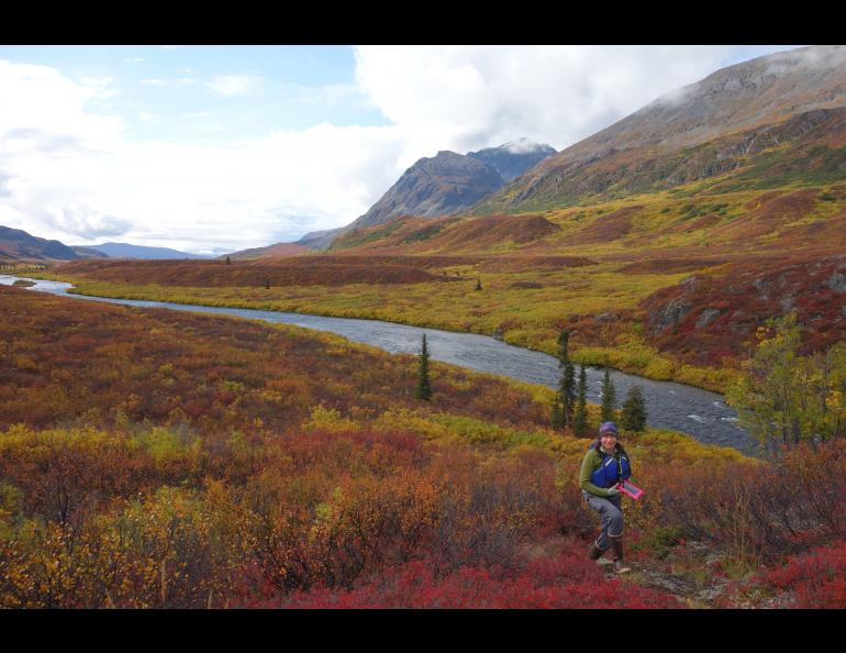 Kristen Rozell amid the colors of fall in Interior Alaska. Photo by Ned Rozell.