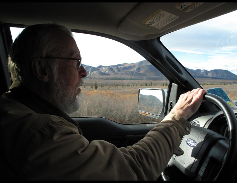 The late Vic Van Ballenberghe, who studied moose for decades, drives the Denali Park road in late September 2011. Photo by Ned Rozell.