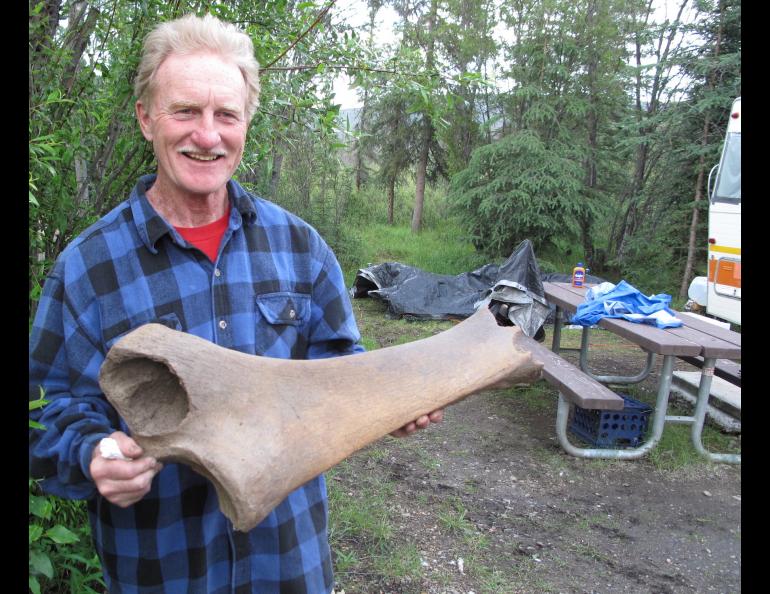 A gold miner holds a woolly mammoth femur he found as he worked frozen ground in the Fortymile River mining district. Photo by Ned Rozell.