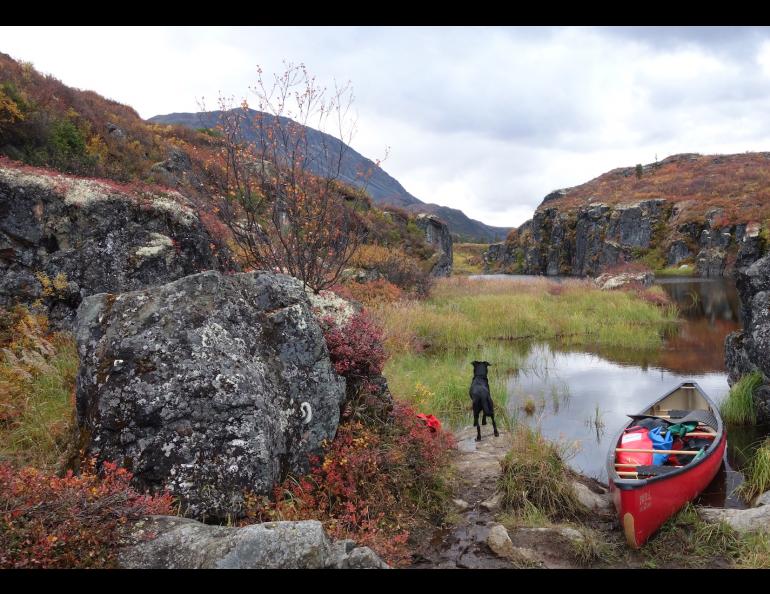 The upper Delta River country at the end of a canoe portage. Photo by Ned Rozell.