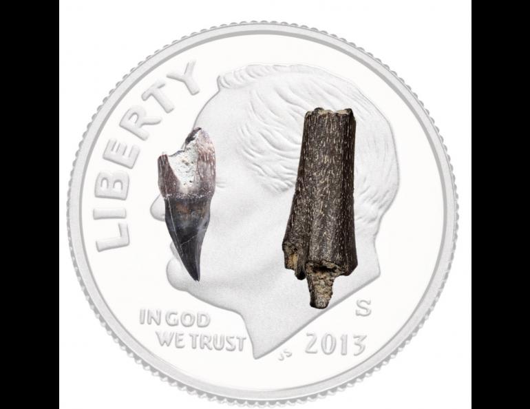 A fragment of a bird tooth as well as a bird bone researchers found in the bluffs above the Colville River with a dime for comparison. The fossils are 73 million years old. Illustration by Lauren Keller.